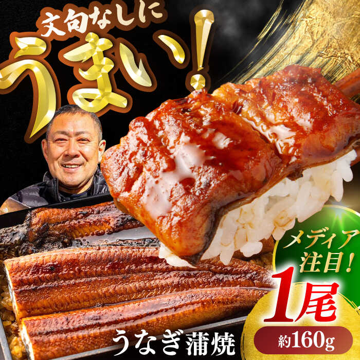 【ふるさと納税】高知県産 うなぎ 長蒲焼 1尾 約160g (1〜2人前) / レンチン 蒲焼き 蒲焼 かば焼き たれ タレ うなぎ ウナギ 鰻 小分け 個包装 パック 冷凍 冷凍食品 国産 レンジ レンジでチン おかず 簡単調理 調理済 時短 温めるだけ 【土佐黒潮水産】[ATCQ011]