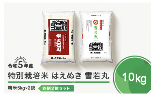 
令和5年産 米 はえぬき 雪若丸 各5kg 計10kg 大石田町産特別栽培米 精米
