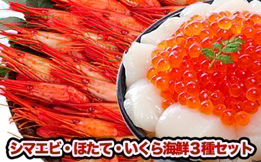 B-81004 シマエビ500g・ほたて300g・いくら200gセット