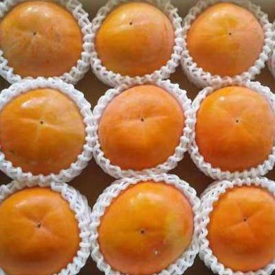 ふるさと納税 美浜町 【厳選・産直】和歌山産富有柿約4kg 化粧箱入り(2L〜4Lサイズおまかせ)【美浜町】 |  | 02