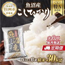 【ふるさと納税】【定期便】 新潟県 魚沼産 コシヒカリ お米 30kg×計6回 精米済み 半年間 毎月発送 こしひかり（お米の美味しい炊き方ガイド付き）　定期便・ 精米 ご飯 ブランド米 銘柄米 　お届け：入金確認の翌月から発送