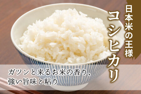 お好みに合わせて精米！令和6年産 コシヒカリ 6kg 先行受付 東白川村産 玄米 お米 こめ 精米 5000円 5千円