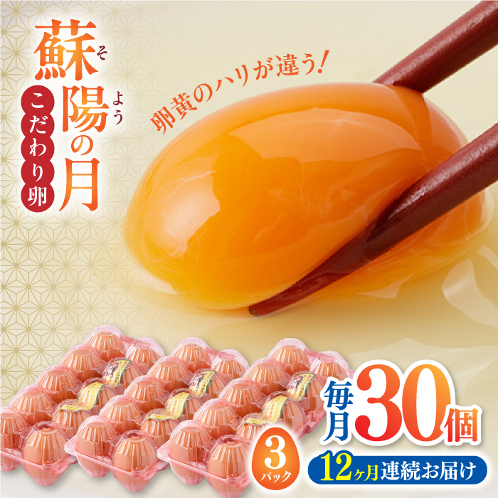 【全12回定期便】熊本県産 蘇陽の月 30個入り ( 10個入り × 3パック ) 山都町 たまご 卵【蘇陽農場】 [YBE020]