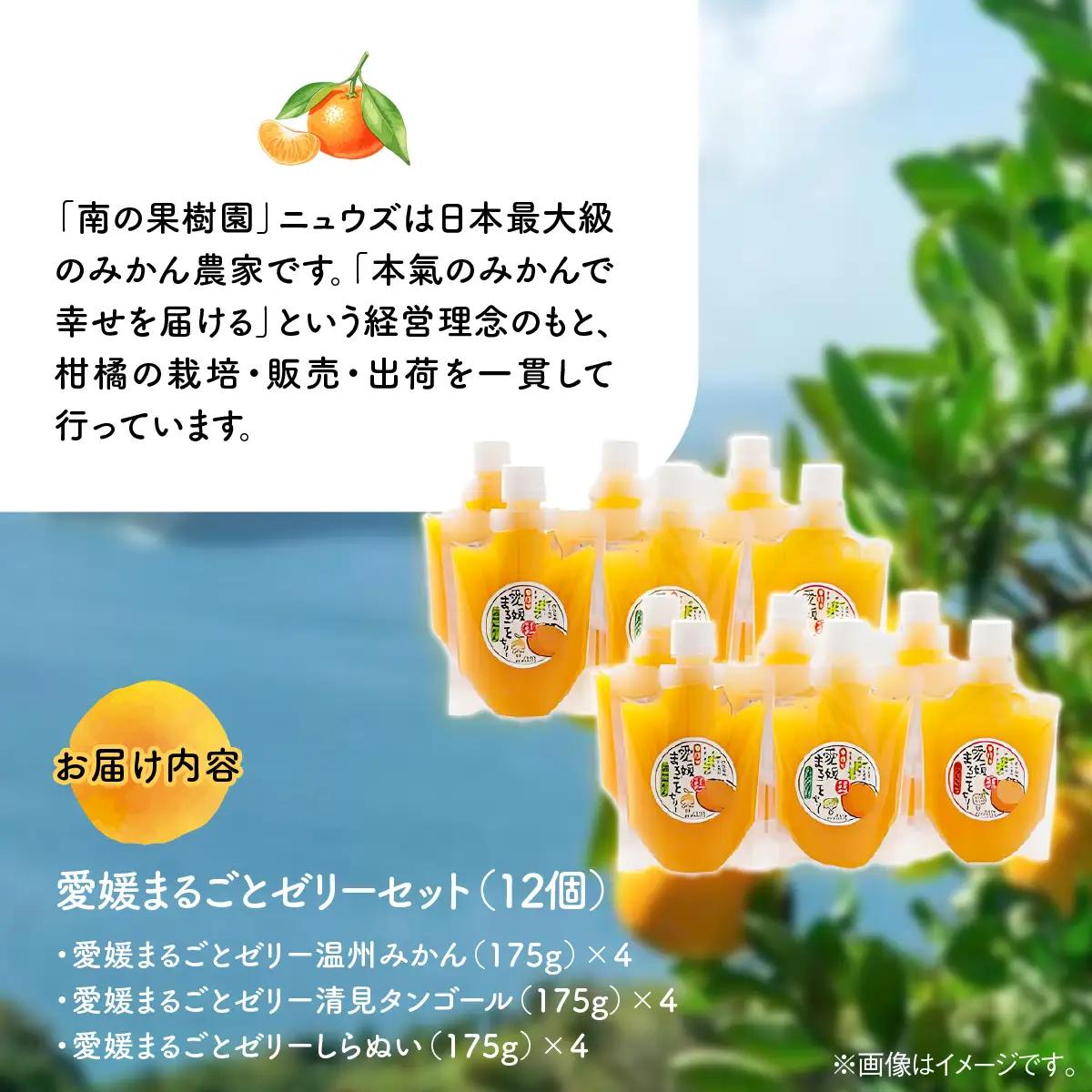 【皮までまるごと国産無添加】愛媛まるごとゼリーセット（12個） IKTF012