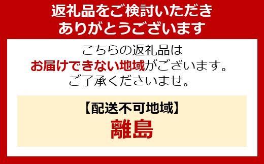 椅子　折りたたみ収納スツール　ワイド SSTR-76 ブラウン