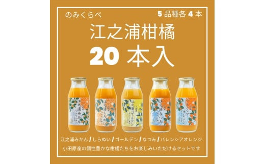 小田原産江之浦みかんジュース５種のみくらべ2０本セット うんしゅう・しらぬい・ゴールデン・なつみ・バレンシアオレンジ１００％ストレートジュース１８０ml各４本合計２０本