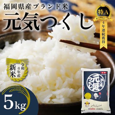 ふるさと納税 那珂川市 【化粧箱入り】!!令和7年産 福岡県産米 元気つくし 5kg(5kg×1袋)(那珂川市)