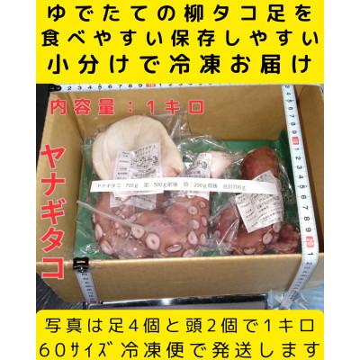 ふるさと納税 白老町 浜ゆでたこ 計1000g:1kg　北海道白老町産 |  | 01