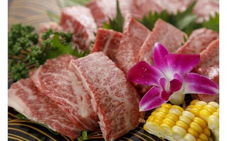 GI認証 くまもとあか牛 焼肉用 約500ｇ【有限会社 桜屋】[AYCP061]
