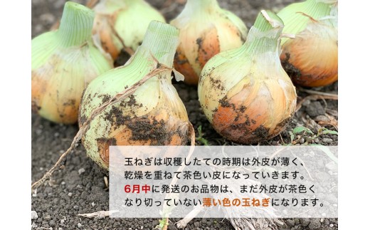 【３kg】兵庫県認証食品★特別栽培★淡路島たまねぎ