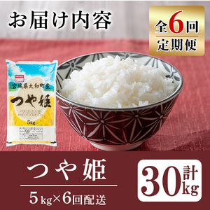 【令和8年産】＜6か月定期便＞特別栽培米 つや姫 5kg×6回(合計30kg) お米 おこめ 米 コメ 白米 ご飯 ごはん おにぎり お弁当 頒布会【農事組合法人若木の里】ta549