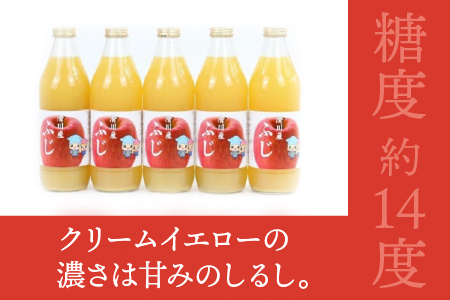 りんごジュース 1?×5本