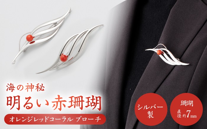 
                  珊瑚ブローチ (1点) 【有限会社米沢サンゴ店】 [ATCX007]
                