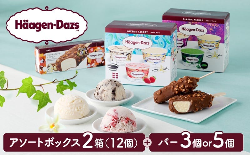 
                  【バーの数が選べる!!】ハーゲンダッツ バラエティセット(アソート＆バー) アイス スイーツ デザート_H0026-027-SKU
                