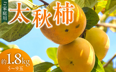 【訳あり品】【10月より順次発送】池尻農園 太秋柿 5 ～ 9玉 約 1.8kg ご家庭用_Fk015