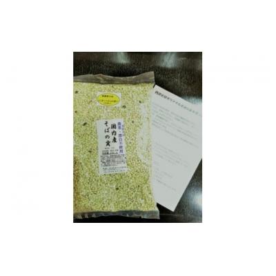 ふるさと納税 秦野市 むきたてそばの実