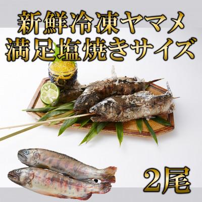 ふるさと納税 三股町 新鮮冷凍ヤマメ塩焼きサイズ約100g×2尾【MI770】