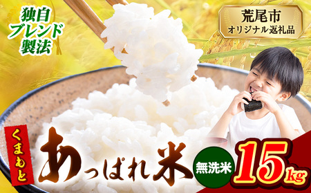 熊本県産 くまもとあっぱれ米 15kg  熊本県産 ふるさと納税 無洗米 精米 米 こめ ふるさとのうぜい コメ お米 おこめ《12月中旬-2月末頃出荷》
