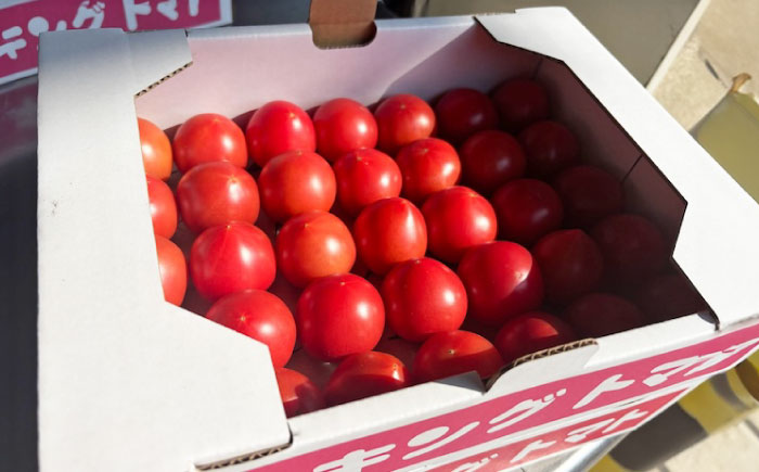 広島県江田島産 キングトマト 28-35玉入 2kg×1箱 【12月中旬より発送】 トマト 完熟 野菜 国産 中玉 ミディトマト 濃厚 甘い 江田島市/ひろしま農業協同組合江田島アグリセンター [XC