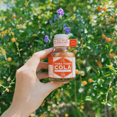 ふるさと納税 喜界町 島仕込みクラフトコーラシロップTOBA TOBA COLA 115g