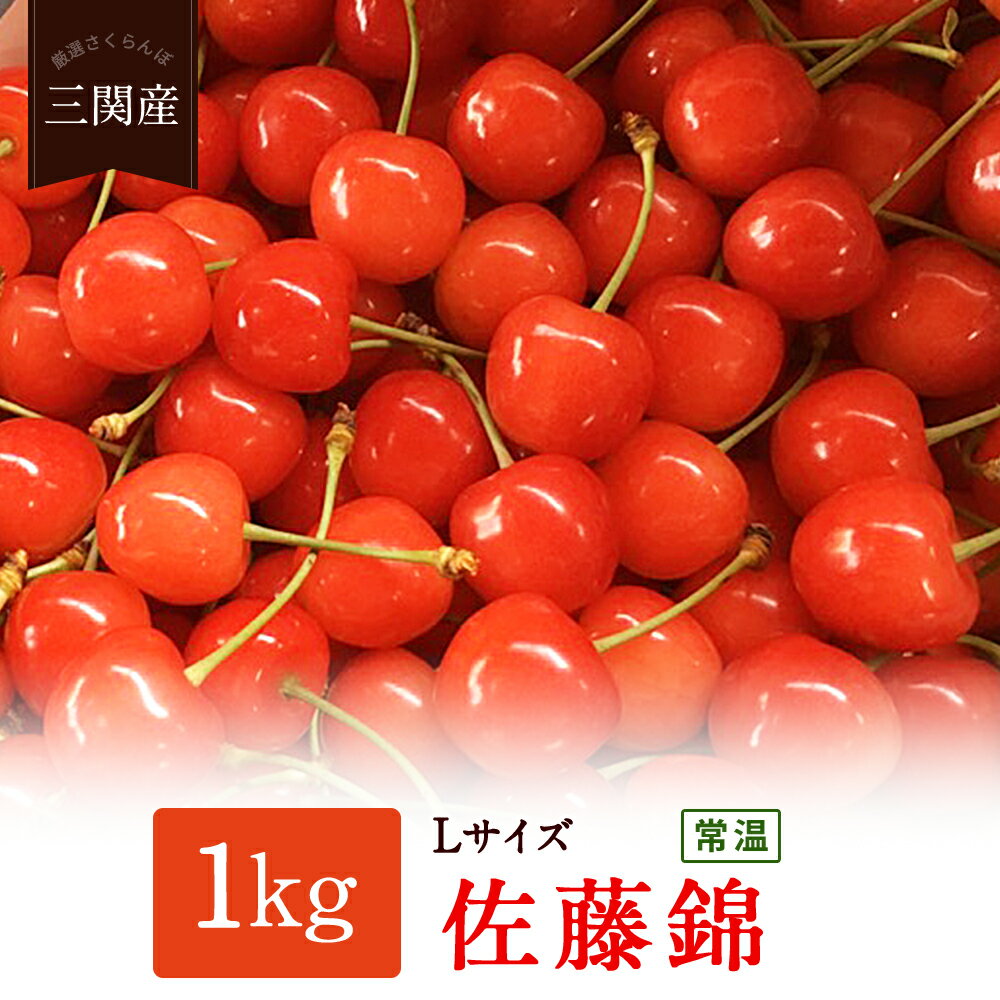 【ふるさと納税】サクランボ（佐藤錦）1kg[H2702]