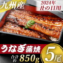 【ふるさと納税】【数量限定】先行予約 土用の丑の日用九州産うなぎ蒲焼 計約850g（約170g×5尾 ）【2024年7月発送】 うなぎ 蒲焼き うなぎ 無頭 蒲焼き タレ付き 薩摩川内うなぎ 蒲焼 うなぎ蒲焼 冷凍 鹿児島 国産 鰻 ウナギ 薩摩川内市 ふるさと納税