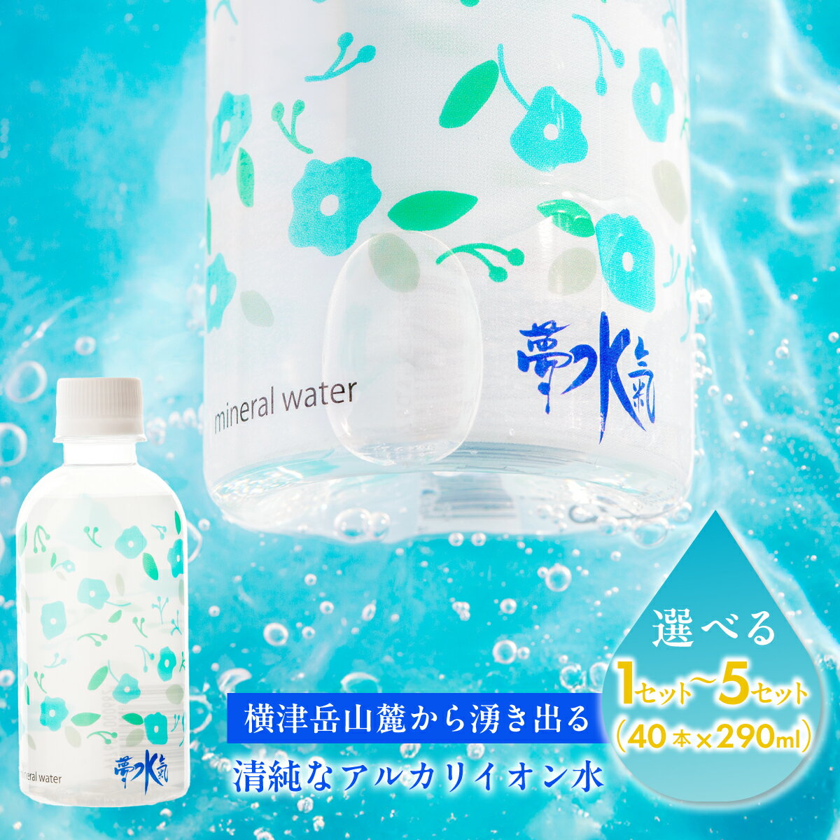 【ふるさと納税】ミネラルウォーター夢水氣（290ml×40本）選べる本数 天然アルカリイオン水 軟水 天然水 ミネラルウォーター 飲料水 自然 ペットボトル アルカリイオン 水 みず 飲料水 防災 備蓄 備え NAL002