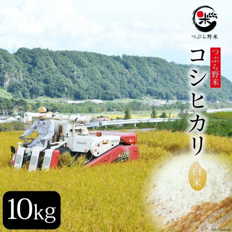 米 令和7年 つぶら野米 コシヒカリ 白米 10kg [つぶら野米 山梨県 韮崎市 20743369] こめ コメ お米 精米 こしひかり