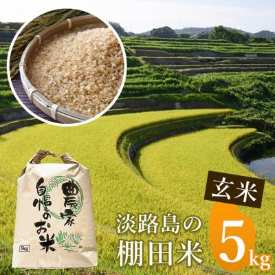 ふるさと納税 淡路市 《玄米》淡路島の棚田米 5kg　ae01074