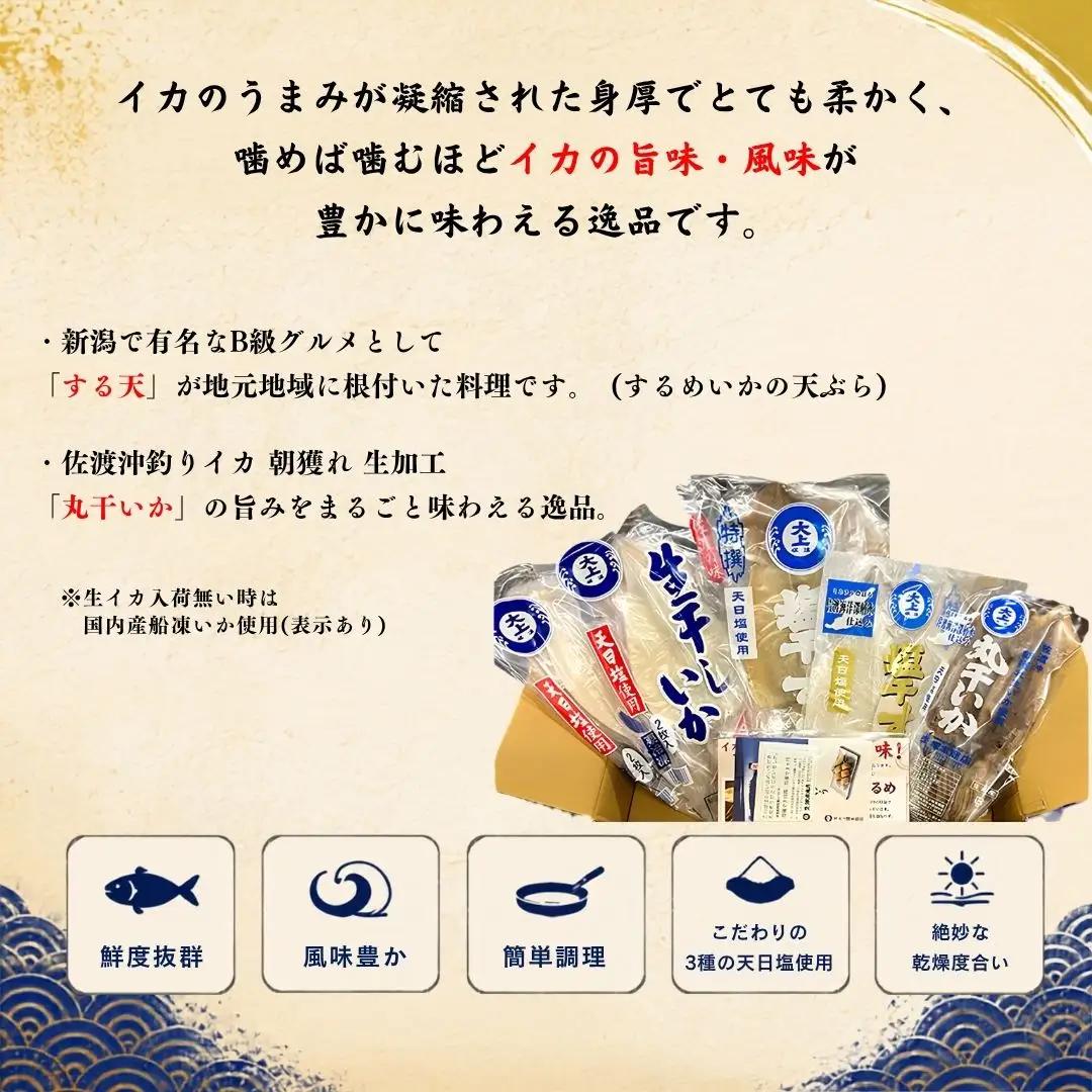 佐渡島いか専門店 いかづくしセット2