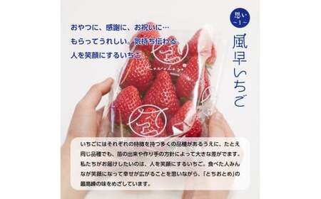 【4月発送】とちおとめ特選デラックス（10～22粒）1箱