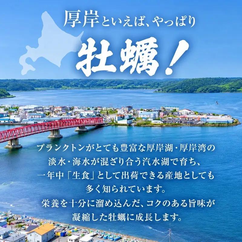 厚岸産『 カキえもん 』『 マルえもん 』 食べ比べ セット 北海道 牡蠣 カキ かき 生食用 生牡蠣 殻付 食べ比べ 魚介類 