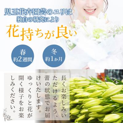 ふるさと納税 都農町 【2週間以内発送】「オリエンタルリリー ユリ」(白) 計6本 切花 百合 国産_T045-0011 |  | 02