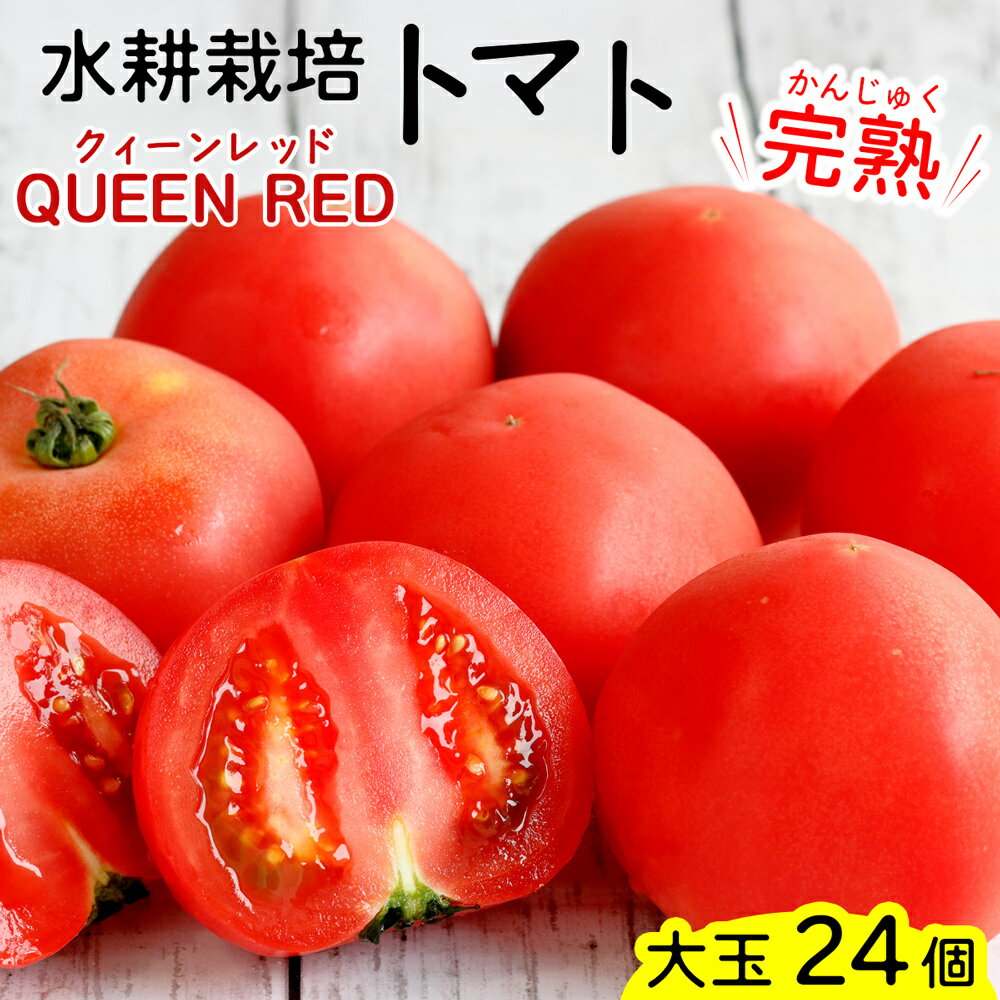 【ふるさと納税】[予約受付] 水耕栽培トマト(大玉)｜甘い 新鮮 完熟 とまと 大玉 直送 野菜 リコピン サラダ イタリアン【0621】