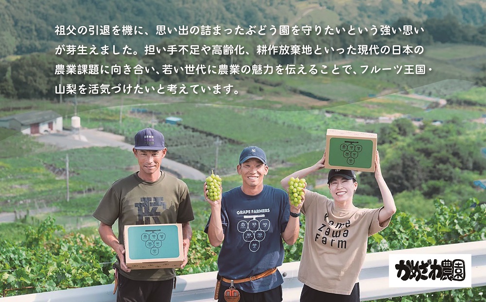 山梨県甲斐市産　化学肥料不使用で育った巨峰　約1㎏ DG-4