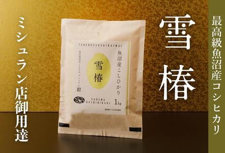 【2025年産新米】最高級魚沼産コシヒカリ「雪椿」5kg (1kg×5袋) 特別栽培米