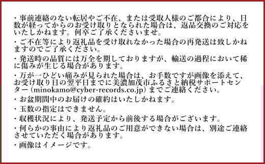 《先行予約》 「山之上果実農業協同組合」 山之上の梨 二十世紀 1箱 約2.5kg 【2025年9月上旬-10月上旬 発送予定】