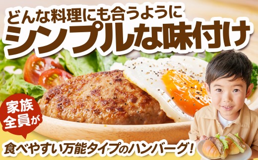 【訳あり】万能ハンバーグ2.4kg(120g×20個)　冷凍のまま10分で焼ける【1778293】
