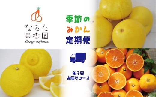 なるた果樹園季節のみかん定期便B（年3回お届けコース）