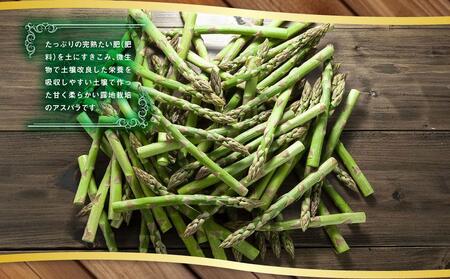 【2025年発送先行予約】露地物朝採りアスパラ　鮮度保持フィルム入り　Lサイズ　400g×2　合計800g_03818
