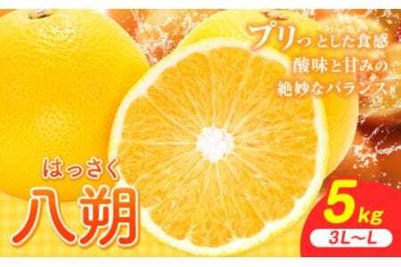 内容量：約5kg（3L～L）