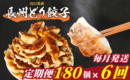 訳あり 長州どり餃子 180個 定期便 毎月6回 餃子 ギョウザ IB