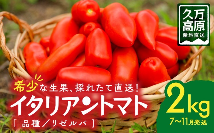 
            イタリアントマト『リゼルバ』2kg＜先行予約＞ | 愛媛県 久万高原町 イタリアン トマト リゼルバ サンマルツァーノ 料理 ピザ パスタ ソース用 スープ 煮込み用 加熱用 炒め物 サラダ 甘い ※北海道・沖縄・離島への配送不可 ※2025年7月下旬頃より順次発送予定
          