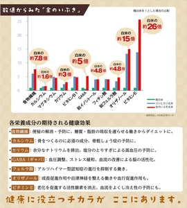 定期便6ヶ月 金のいぶきプレミアム玄米ごはん120g×24個 パックごはん パックご飯 防災 米 レトルト ごはんパック