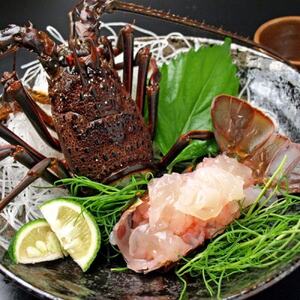 刺身用活〆冷凍伊勢海老420g【配送不可地域：離島】【1607614】