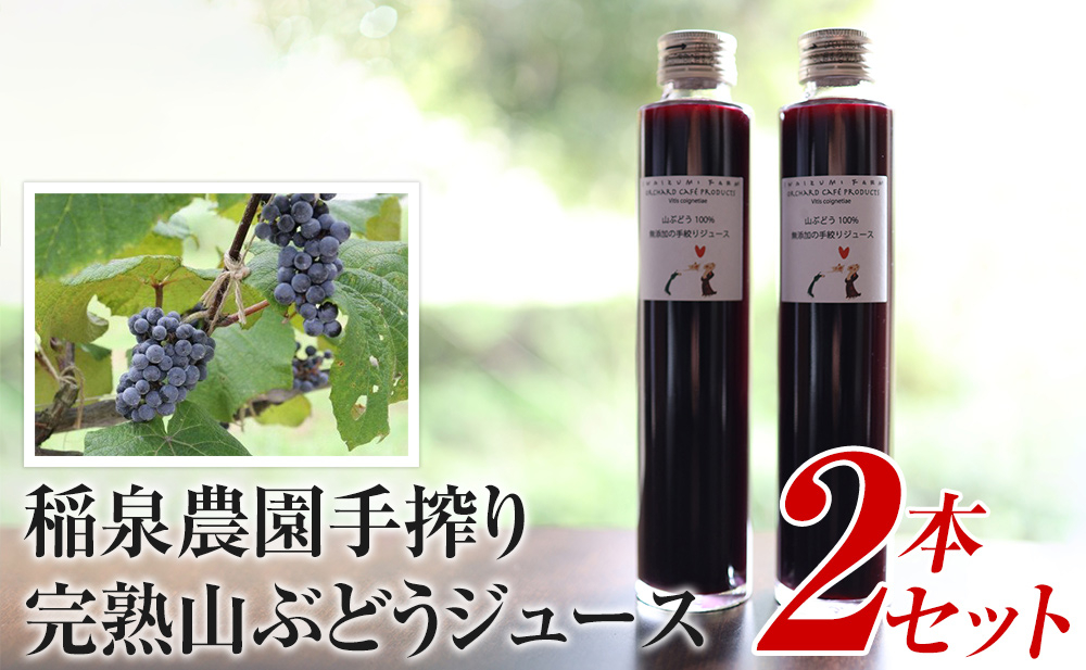 
稲泉農園の手搾り完熟山ぶどうジュース2本セット　【果汁飲料・野菜飲料・ぶどうジュース・ブドウ】
