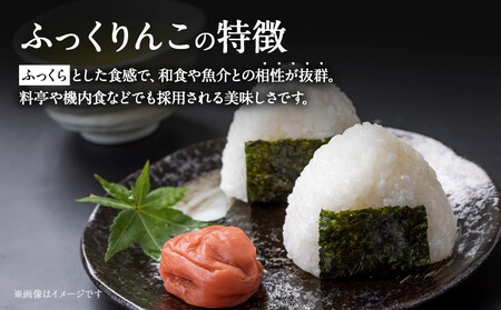 令和６年産　北海道産ふっくりんこ10kg（5kg×2)【国産 白米 精米 お米 単一原料米 厳選 マイスター 生活応援 ふっくりんこ おすすめ 北海道 美唄市 美唄】