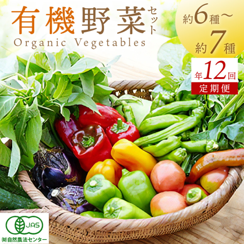 【年12回定期便】＜てんとうむしばたけ＞オーガニック野菜セット　有機野菜6～7種(2人用) 京都直送 野菜 詰め合わせ 野菜セット 国産 京都産 ふるさと納税 野菜