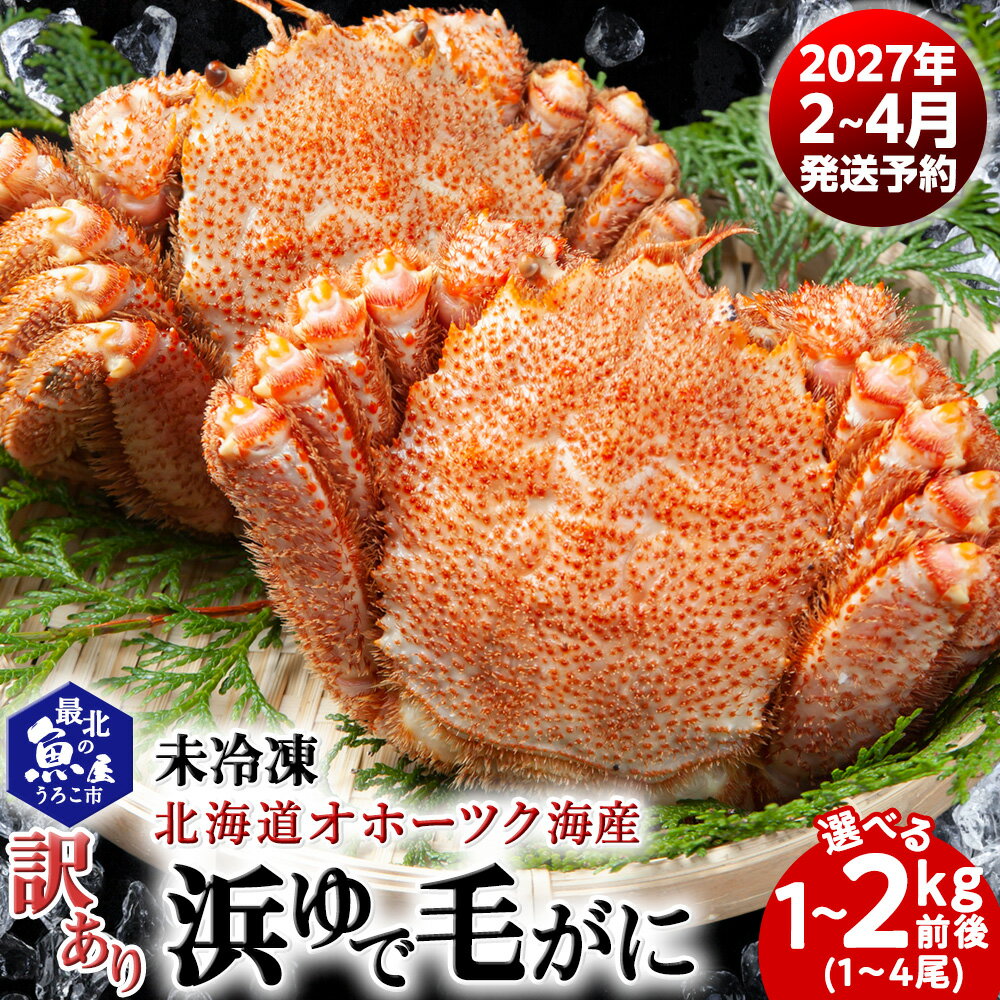 【ふるさと納税】【訳あり】未冷凍 浜ゆで毛ガニ 訳あり品(キズ・足欠等)　選べる1kg～2kg前後（1-4尾入）ボイル 毛がに 毛ガニ 毛蟹 ボイル 蟹 カニ 北海道ふるさと納税 稚内 ふるさと納税 北海道 【配送不可地域：離島】