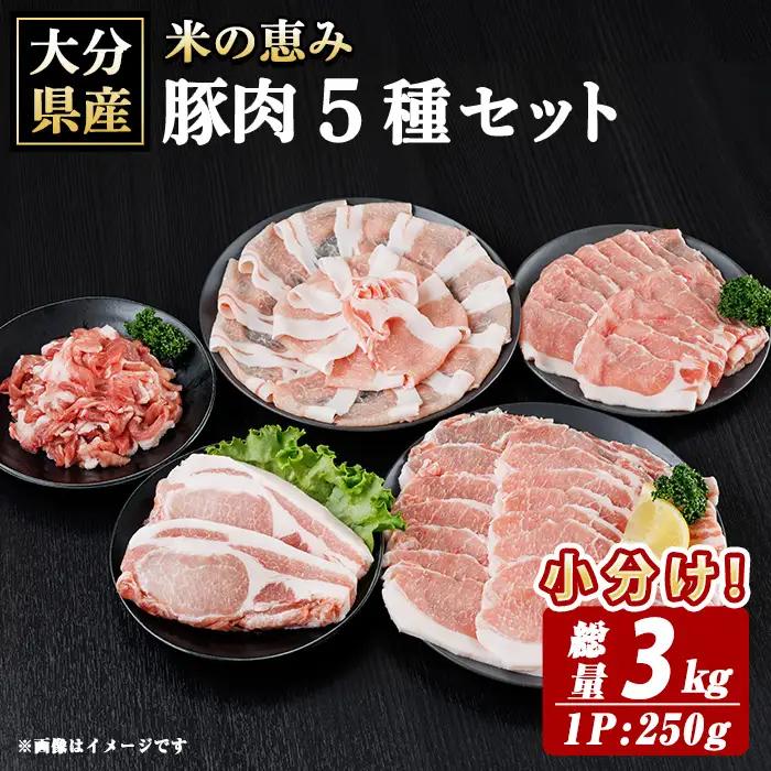 米の恵み 豚肉 5種 セット(総量3kg) 豚肉 肉 ロース しゃぶしゃぶ 切り落とし 生姜焼き トンカツ 国産 小分け 【optk008】【大分県畜産公社】